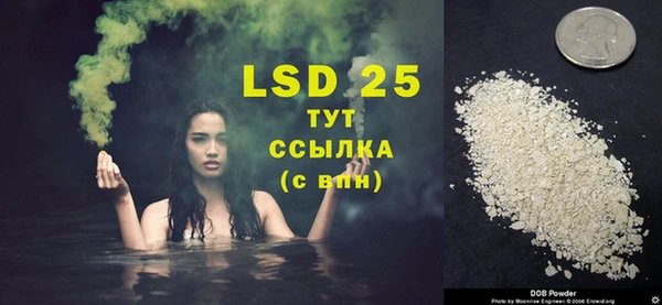 ГАЛЛЮЦИНОГЕННЫЕ ГРИБЫ Вяземский