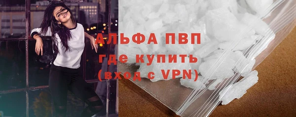 ГАЛЛЮЦИНОГЕННЫЕ ГРИБЫ Вяземский