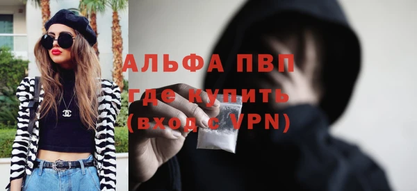 ПСИЛОЦИБИНОВЫЕ ГРИБЫ Вязьма
