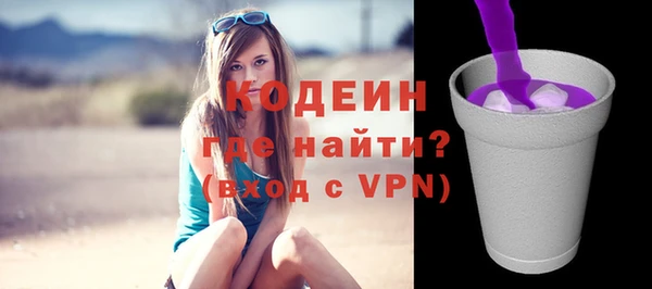 ГАЛЛЮЦИНОГЕННЫЕ ГРИБЫ Вяземский