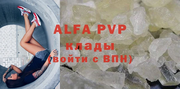 ПСИЛОЦИБИНОВЫЕ ГРИБЫ Вязьма