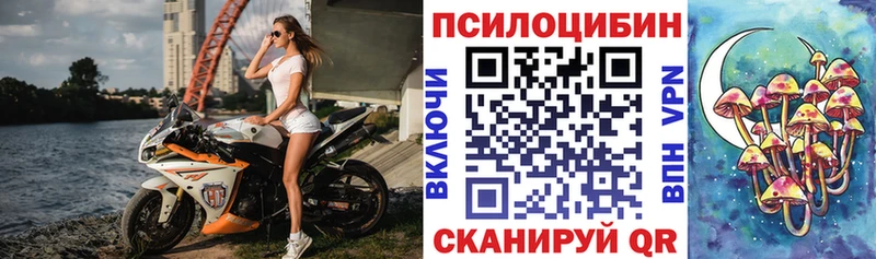 Псилоцибиновые грибы GOLDEN TEACHER  Купить  Орск 